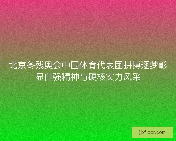 北京冬残奥会中国体育代表团拼搏逐梦彰显自强精神与硬核实力风采 北京冬残奥会中国体育代表团拼搏逐梦彰显自强精神与硬核实力风采